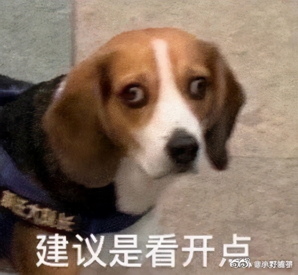 被意大利人骂了这么多年，原来是冤枉的丨互联网冲浪手册