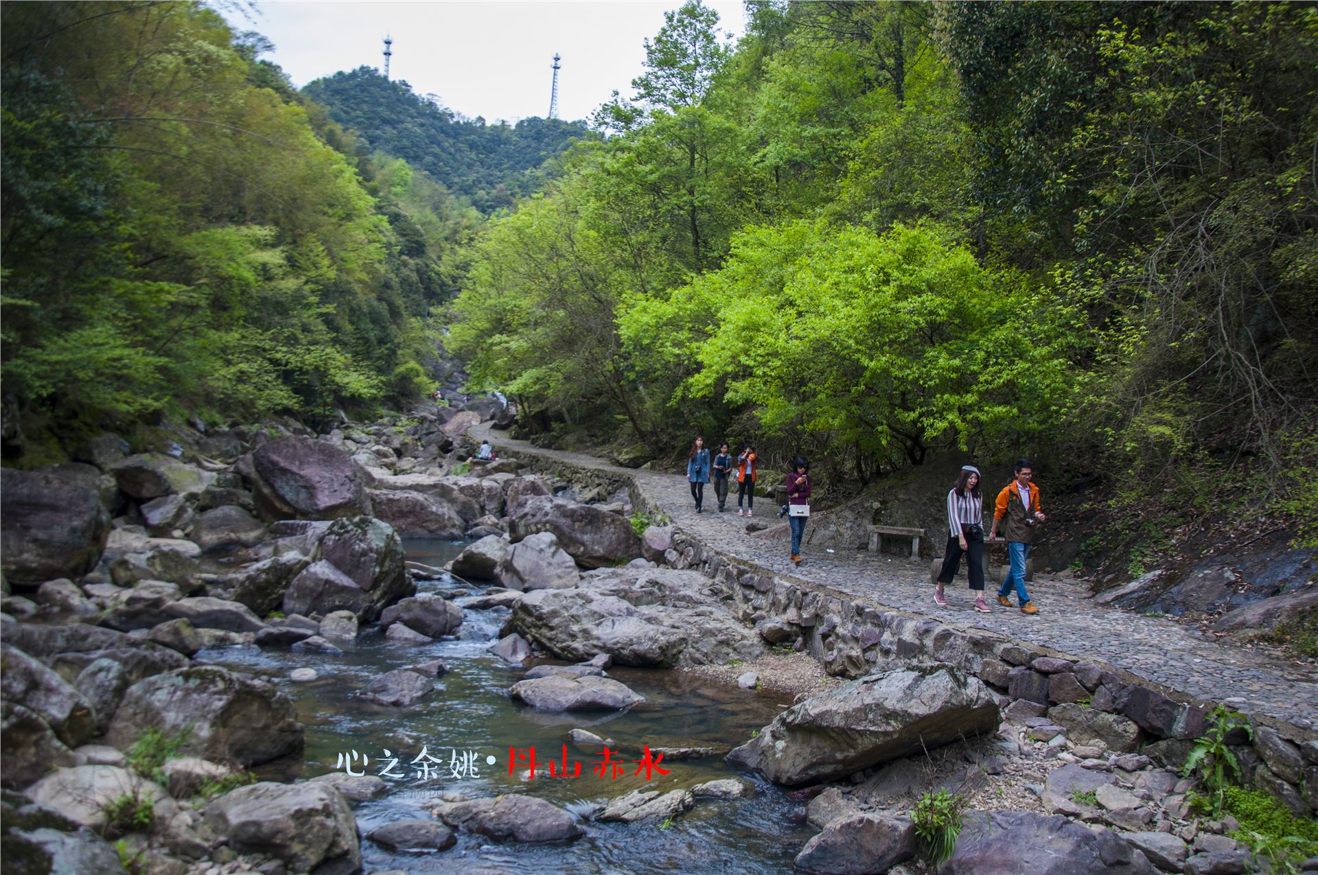 丹山赤水的老柿林景区,丹山赤水柿林古村
