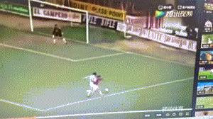 权健主帅,权健主教练卡纳瓦罗