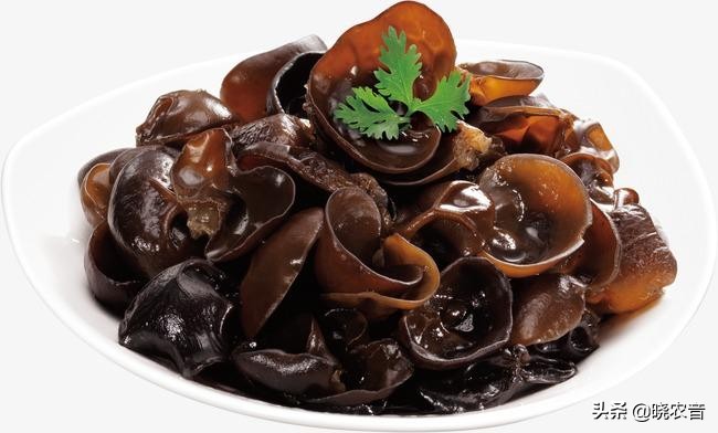 黑木耳正常价格是多少,黑木耳现在有多少钱