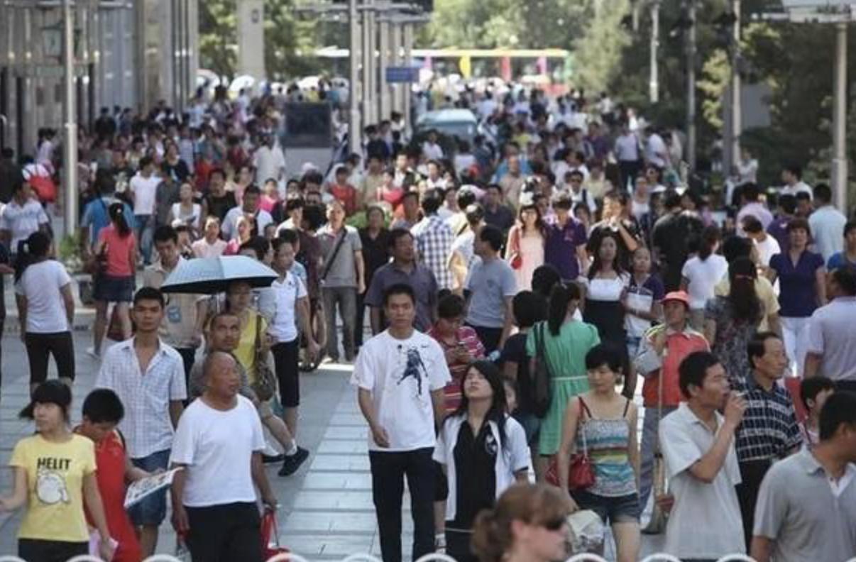 催生无用后专家提新建议,催生无果的后果