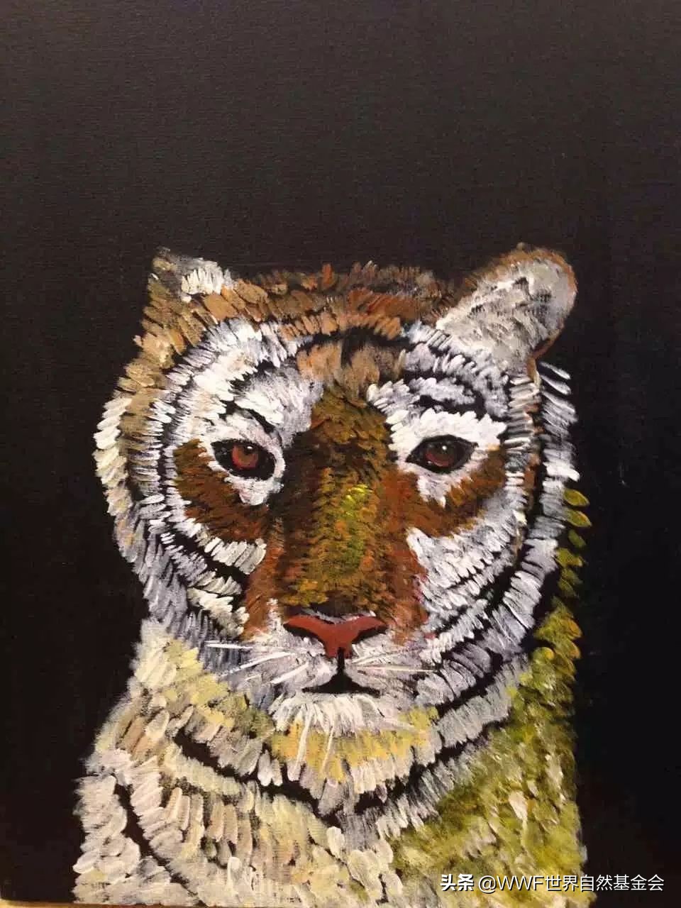 守护王者归来，邀你来画虎