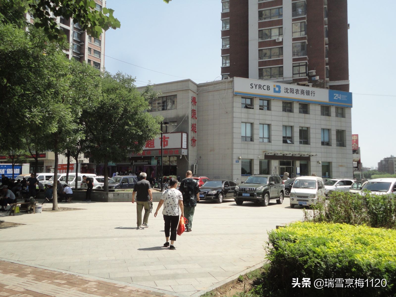 辽宁省沈阳市沈北新区道义街道,沈北新区道义街道划分地图