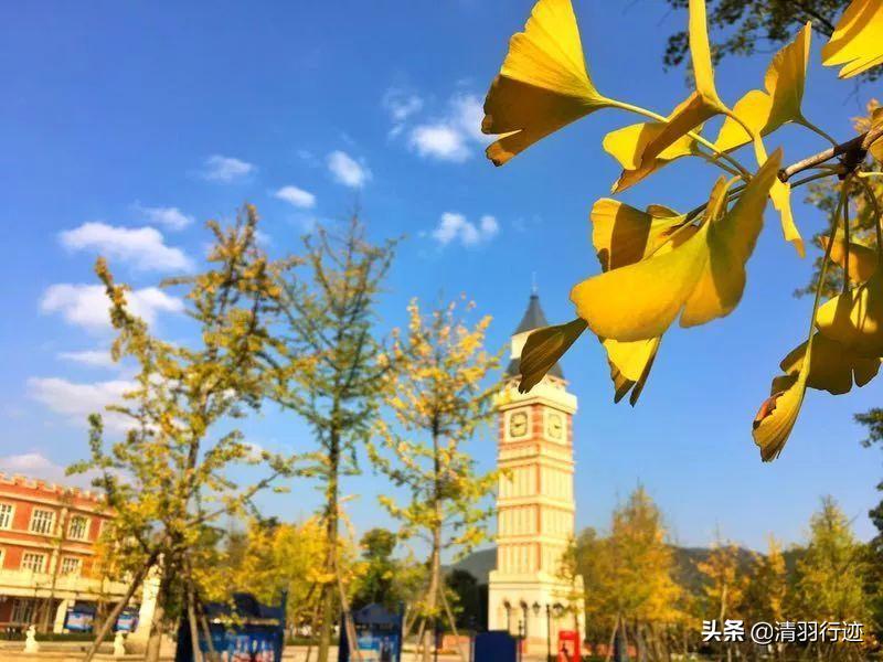 四川大学最美景点叫什么,四川最美风景的10所大学