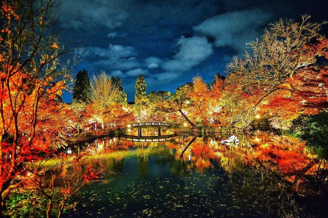 做个‘追枫少女’领略红叶之美！