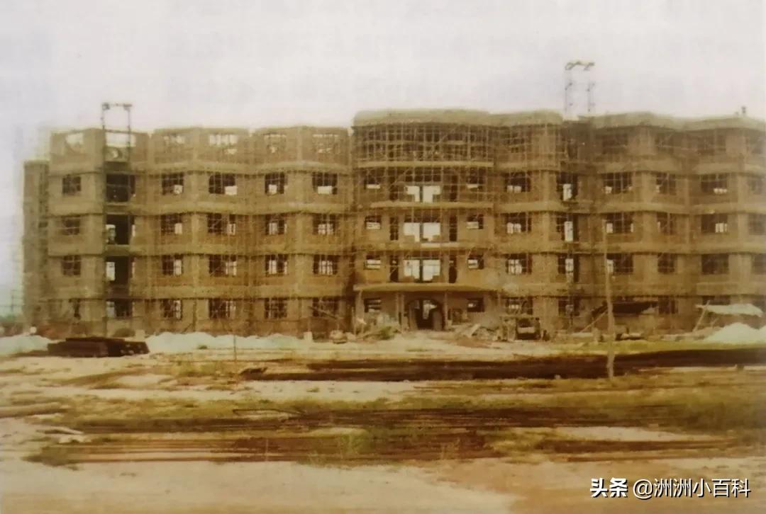 新兴县华侨中学学校介绍,新兴华侨中学历史