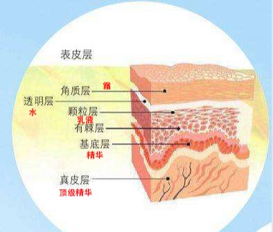 松下美容仪xep和xrf区别,松下x系列美容仪评测
