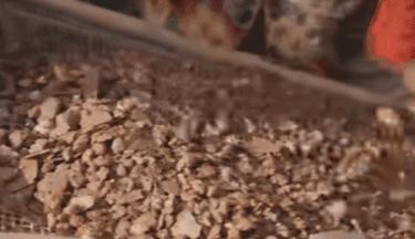 残酷真相：你包里的高光眼影，是无数4岁孩子拿命换的