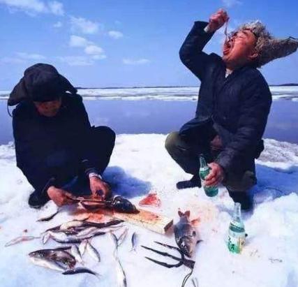 日本吃寿司全是中国人,中国人在日本吃生鱼片