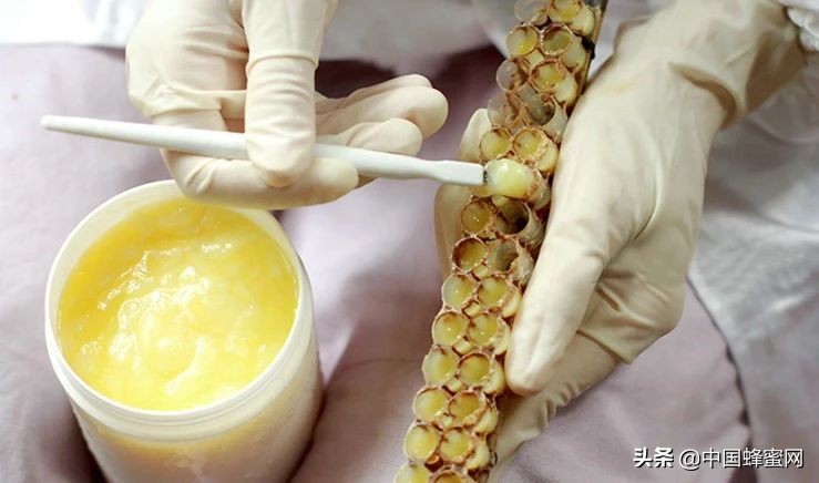 好的蜂王浆一般多少钱一斤,最好的蜂王浆多少钱一斤