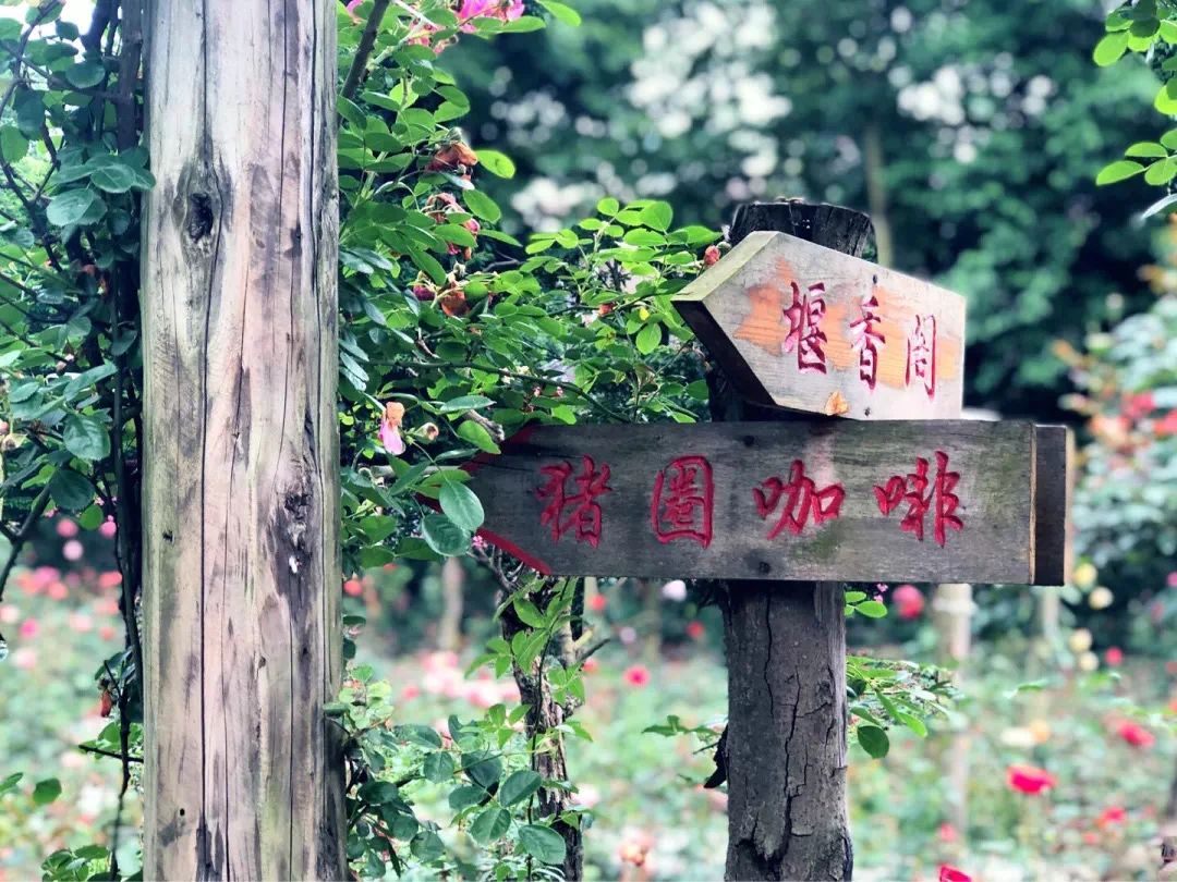 假期倒计时！推荐这条适合全家的乡村游线路