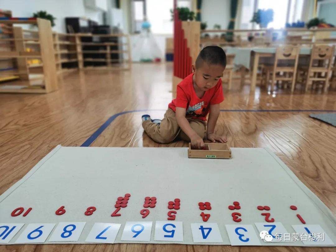 蒙台梭利0-3岁孩子主要的人类倾向,蒙台梭利2岁孩子特别听话