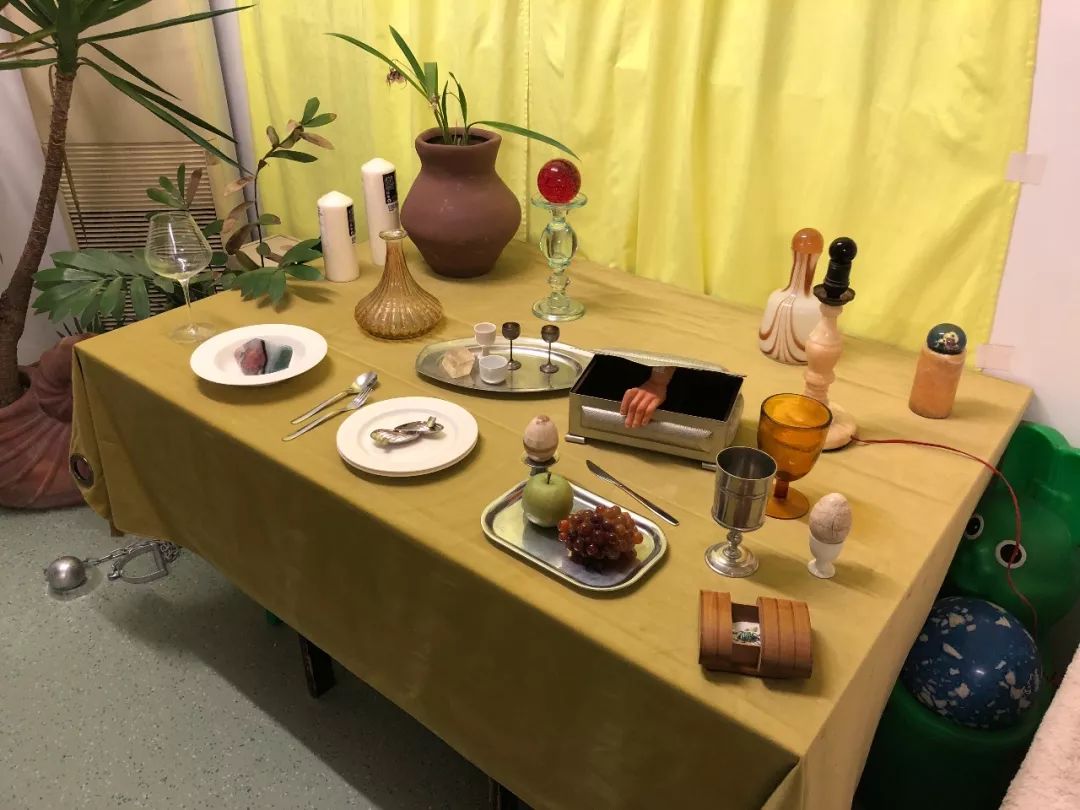 什么花最受女孩欢迎,女孩子中比较受欢迎的花