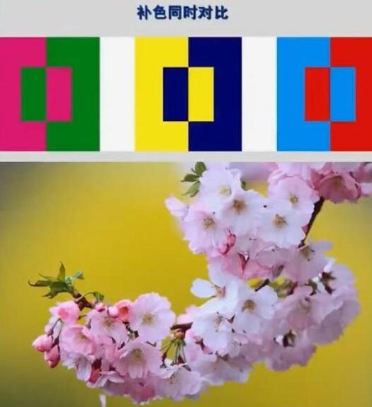 庭院概念设计,最详尽的庭院种植与景观设计