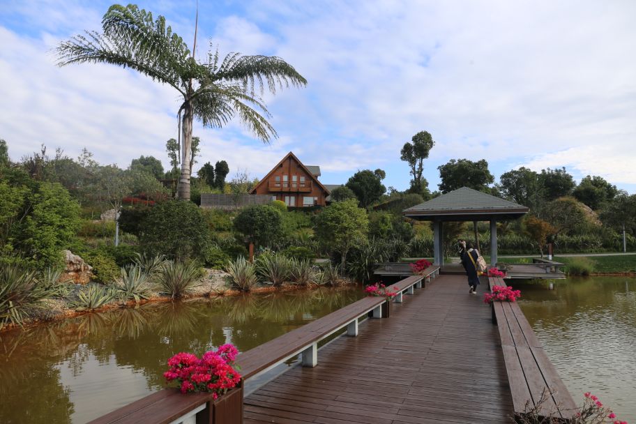弥勒太平湖森林木屋酒店团购直播,弥勒太平湖森林木屋酒店有温泉