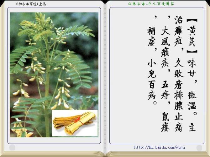 本草纲目中药讲解视频,本草纲目中药图谱及药理讲解