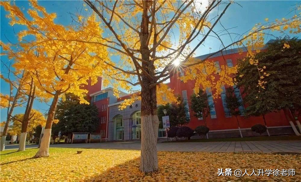 昆明昆三中经开区分校划片,昆明初中昆三中排名一览表