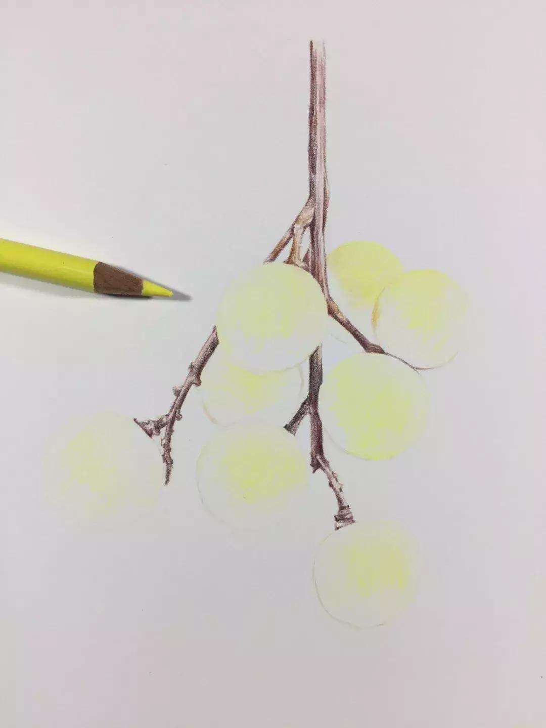 彩铅龙眼,龙眼怎么画彩铅