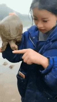 开心一刻gif搞笑动图,搞笑gif段子看起来能量满满