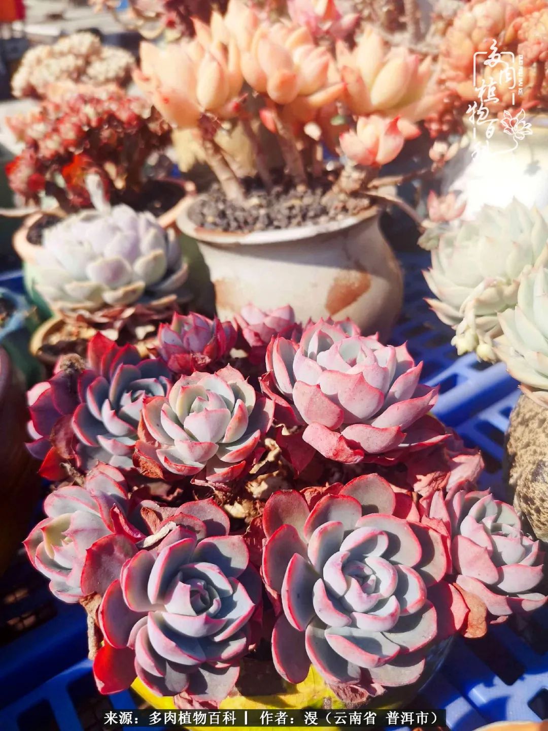 风过留痕讲的啥,风过留痕朗诵