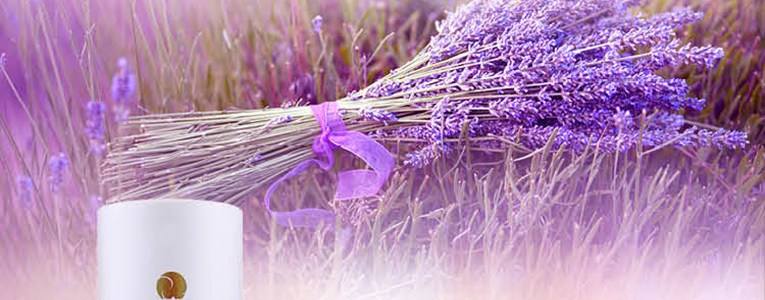 柏兰碧祛痘痘效果怎么样,柏兰碧怎么祛痘印