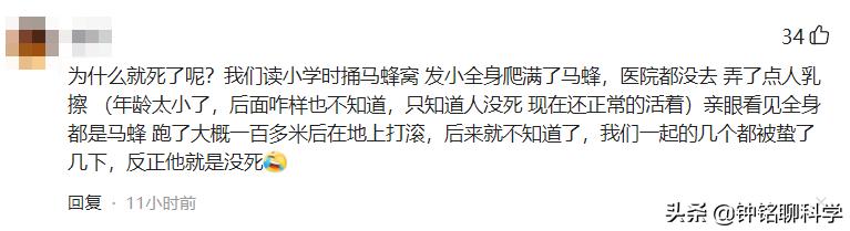 马蜂蜇人时怎么保护自己,马蜂被蛰为什么这么厉害