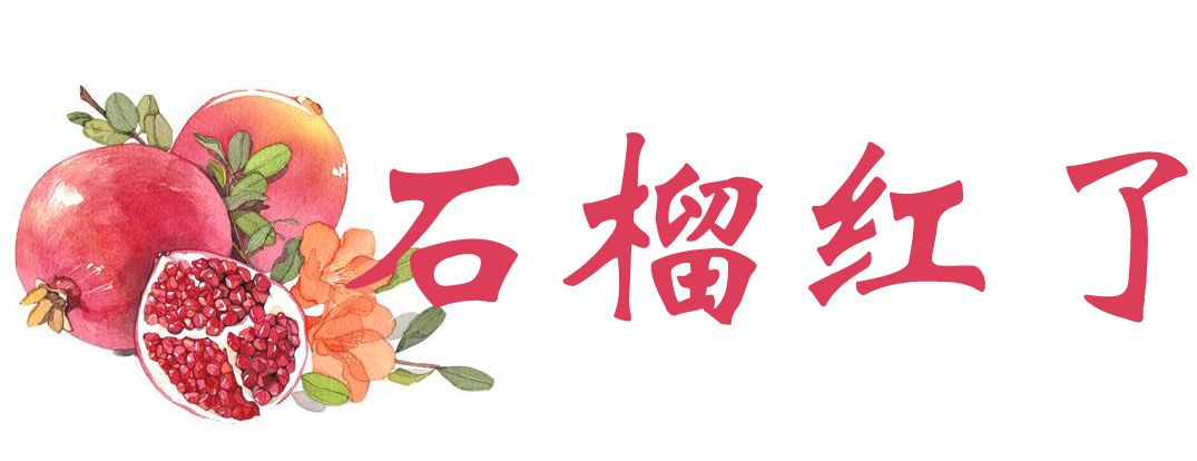 快来摘“喝”矿泉水长大的橘子石榴啦