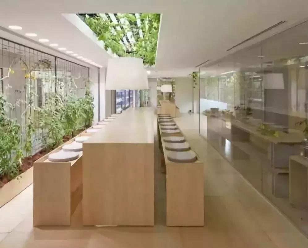 办公室里也能开挖掘机,办公室可以种葡萄