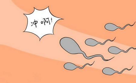 总是怀不上二胎怎么办,总是怀不上怎么办