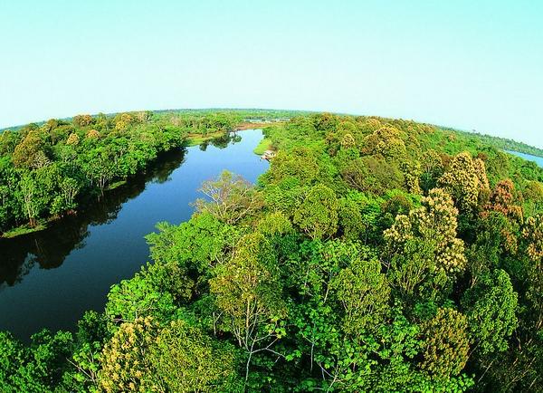 有哪些原始森林公园可以去玩,世界森林公园美景视频