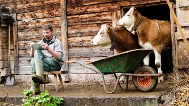 年轻时还有几次机会，我们可以暂停工作，连续休息30天？
