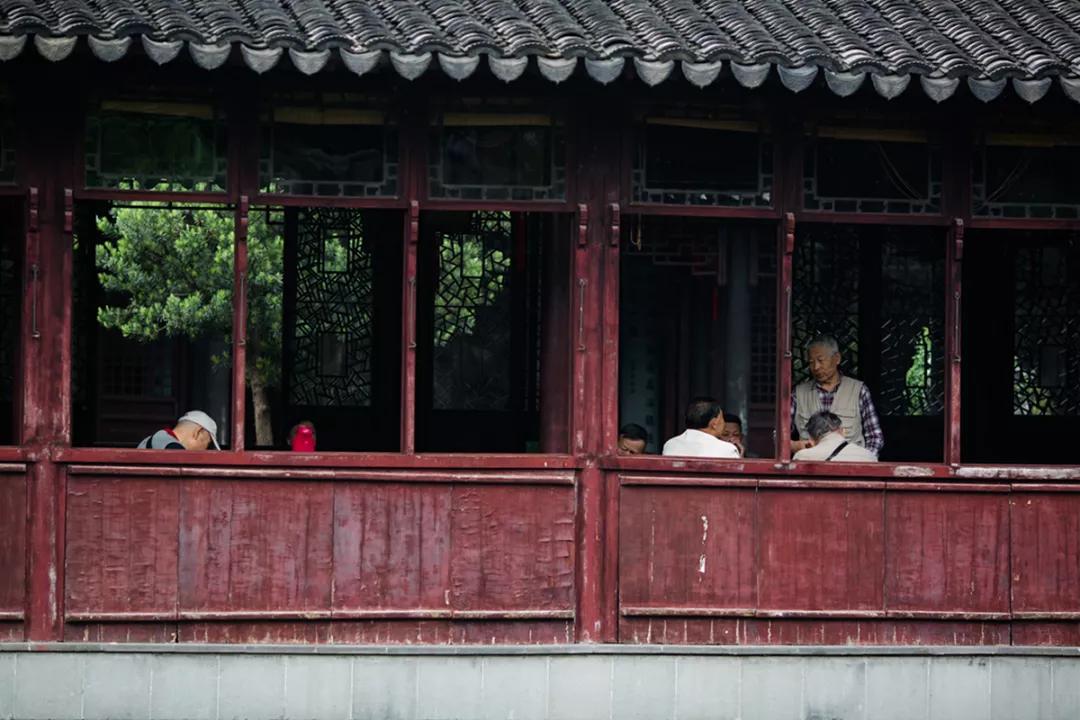 苏州园林静谧之美,苏州小众园林