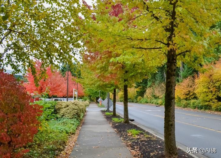 美国最适合居住的城镇,美国各州最适合居住的地方