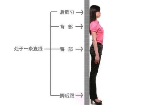 背部美背的正确方法,女性怎么练背让背变得好看又薄