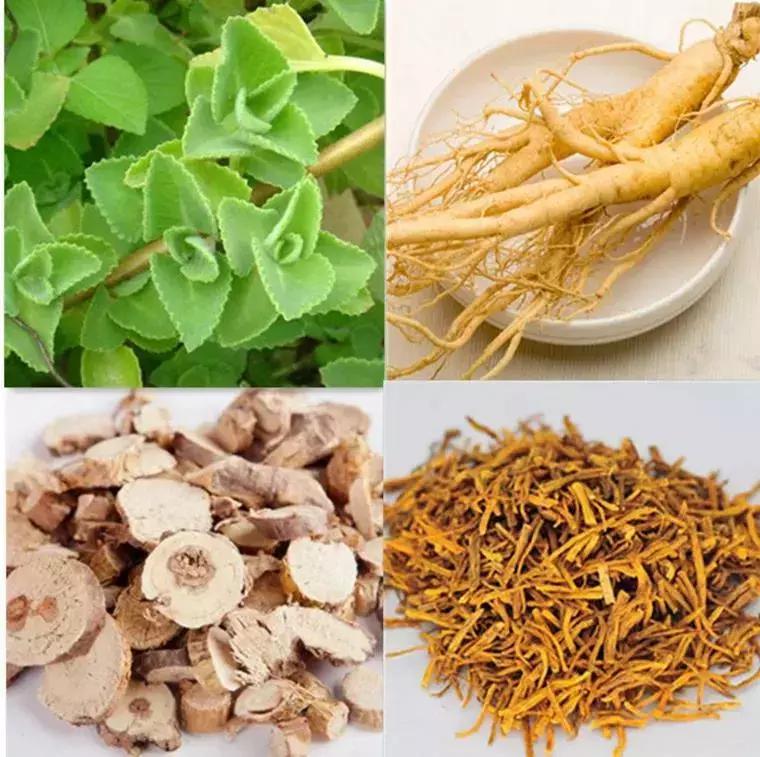 发际线高头发稀疏掉头发怎么拯救,发际线后移的头发还能长出来么