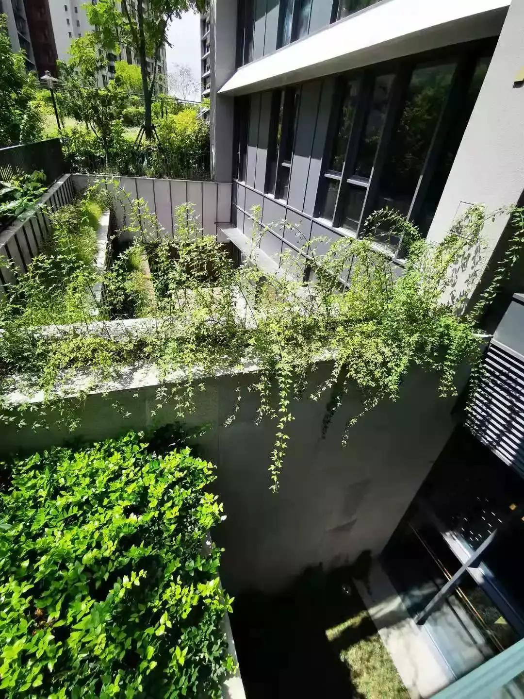 上海长风沁和园最新消息,长风沁和园怎么样