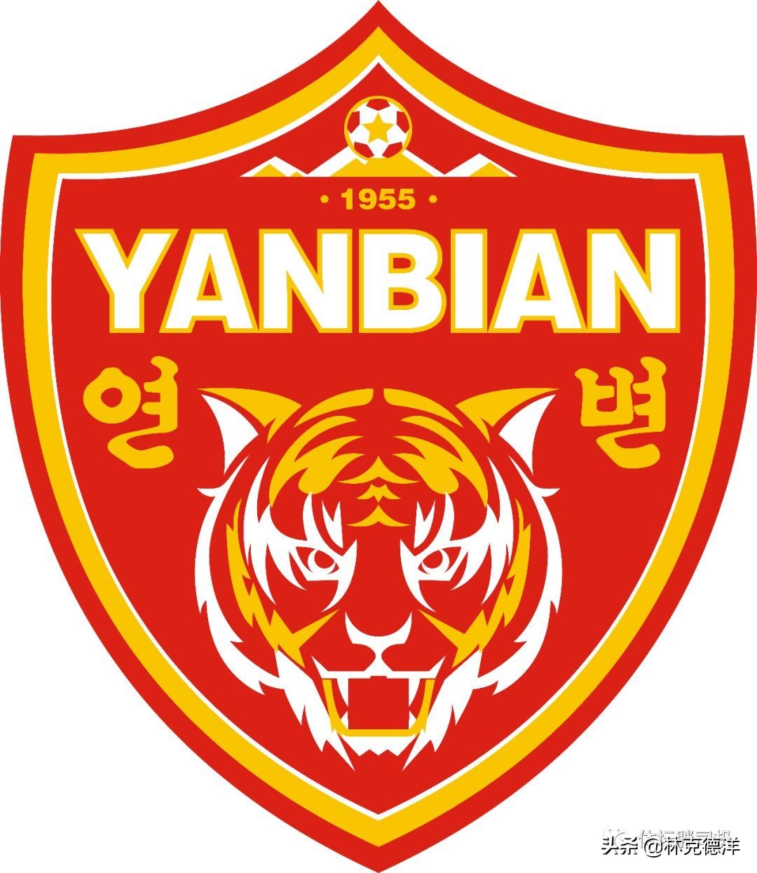 延边对权健,延边对泰达