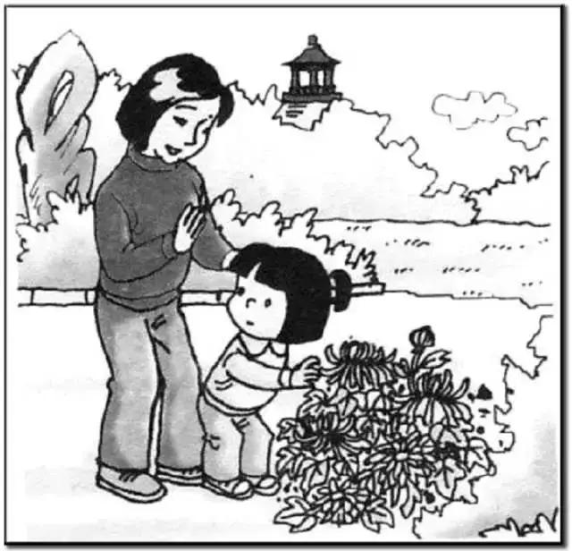 一二年级看图写话范文100篇,一二年级满分看图写话