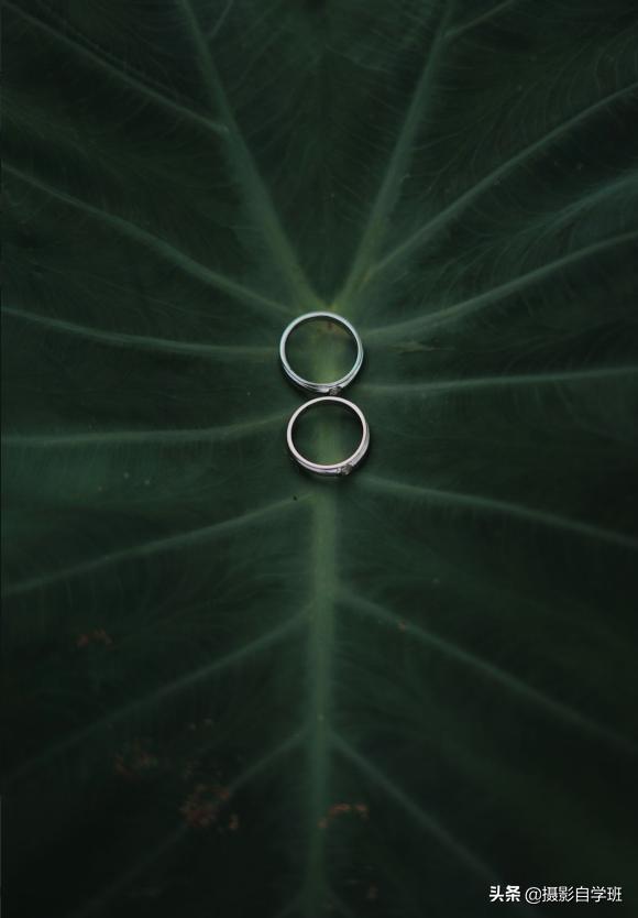 摄影技巧入门篇口诀大全,初学摄影必背口诀一共14句