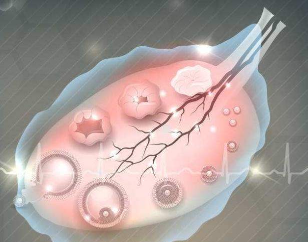 排卵期一直备孕总是怀不上呢,排卵期怀不上孕怎么办啊