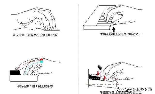 初学者学弹钢琴电子琴,钢琴入门电子琴怎么弹得好一点