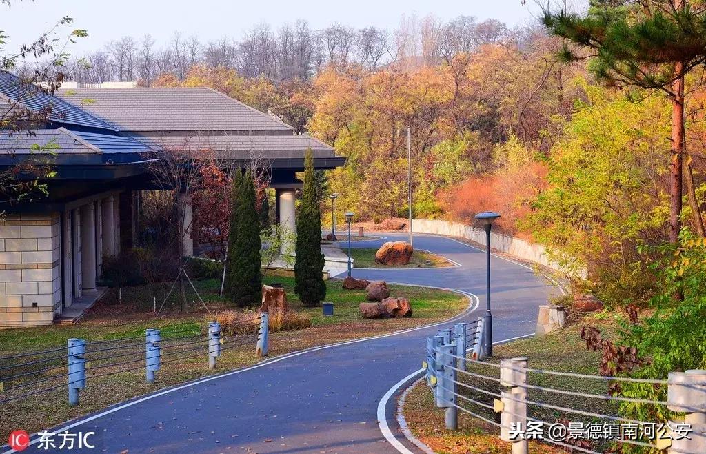 这就是沈阳,这是今天的沈阳