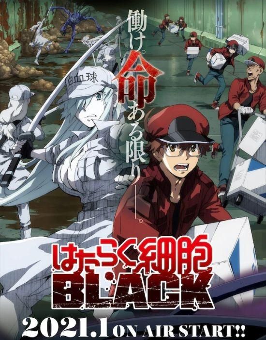 一口气看完系列超长完结动画,2022年的动画推荐