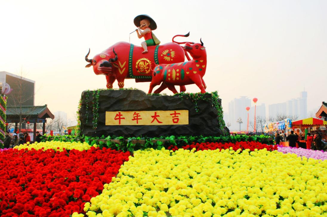 辛丑牛年无春是寡妇年吗,辛丑寡妇年遇到牛什么意思