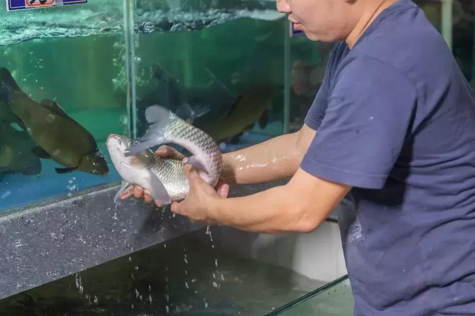 20,000㎡农庄,开业15年,主厨曾获粤港澳十大金牌名厨称号!