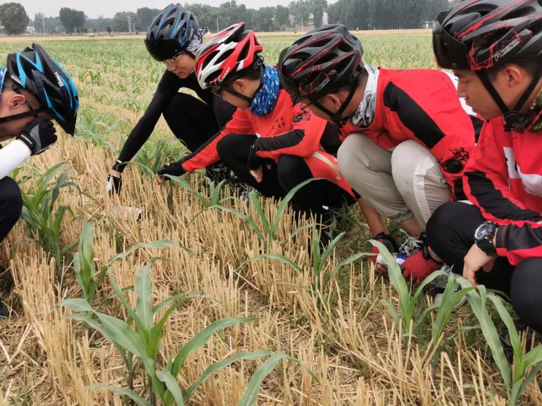 很多读者都被此文感动哭了，包括我自己。请记住这位叫兰会云老师