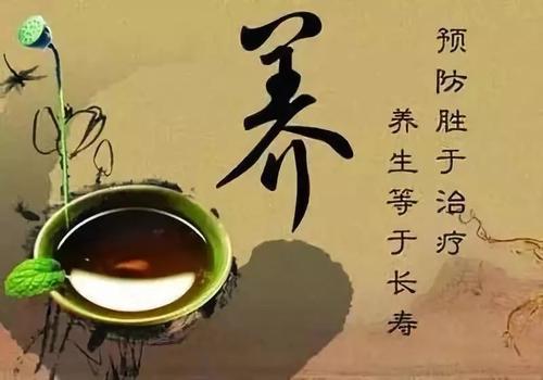 鹿茸片怎么使用效果最好,鹿茸片怎么吃是最正确的方法