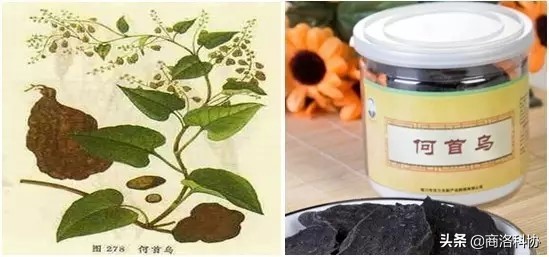 是药三分毒伤肝还是伤肾,是药三分毒中药伤身体吗