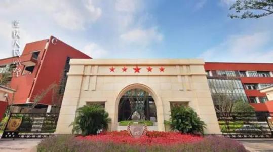 重庆小5网红,重庆五大富豪