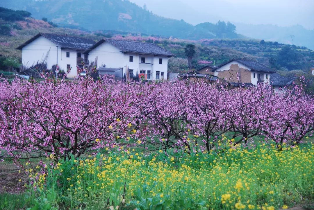 20岁一个人必去旅游的地方,20个旅行城市